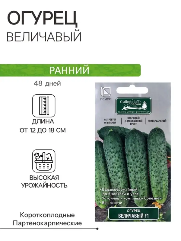 Семена Огурец Величавый, F1, 12шт Семена Огурец Величавый, F1, 12шт