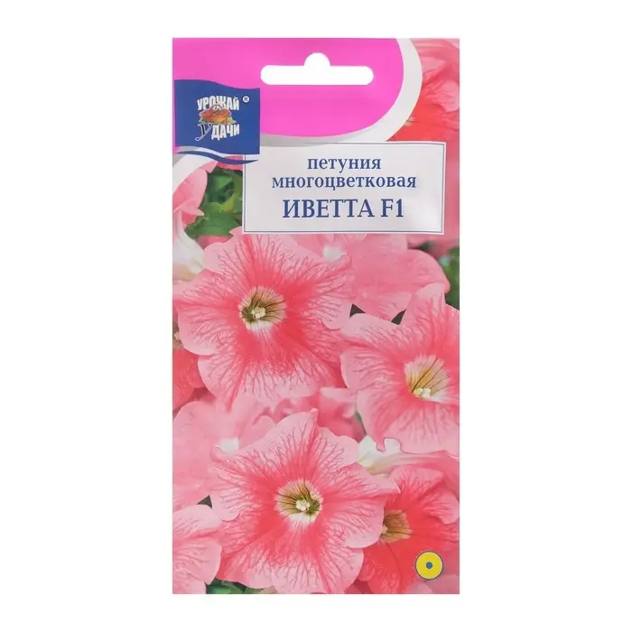 Семена цветов Петуния Семена цветов Петуния "Иветта F1 (новинка)", 0,01 г. в амп.