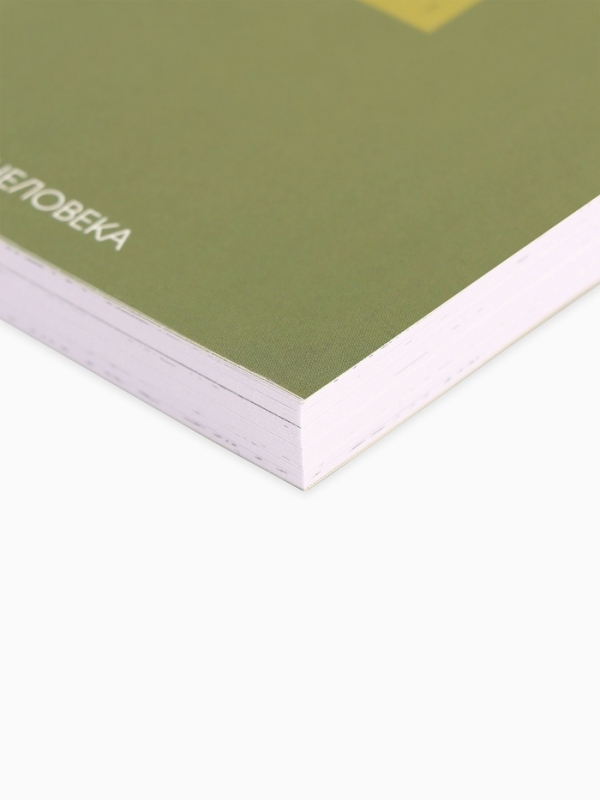 Ежедневник творческого человека с заданиями А5, 120 л. В мягкой обложке  Ежедневник творческого человека с заданиями А5, 120 л. В мягкой обложке "Время мечтать"