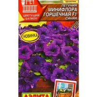 Семена цветов Петуния Минифлора горшечная F1 синяя (драже в пробирке) Цветущий балкон, Ц/П,5 шт. 10 Семена цветов Петуния Минифлора горшечная F1 синяя (драже в пробирке) Цветущий балкон, Ц/П,5 шт. 10