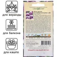 Семена Виола "Сорбет XP Парпл Айс", ц/п,  F1, 4 шт.
