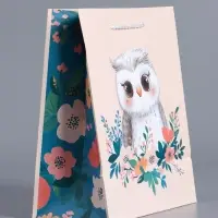 Пакет подарочный "Мудрая совушка" ламинированный 18 х 22,3 х 10 см