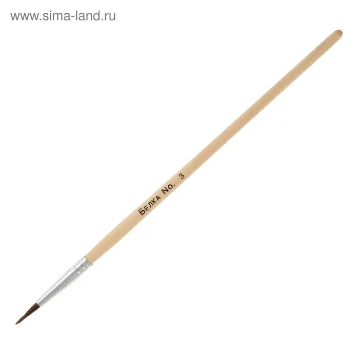 Набор кистей для рисования, белка, 5 штук: № 1, 2, 3, 4, 5, круглые, деревянная ручка, международный размер