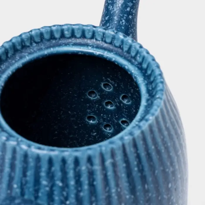 Заварочный чайник Доляна &laquo;Коралл&raquo;, 600 мл, фарфор, синий