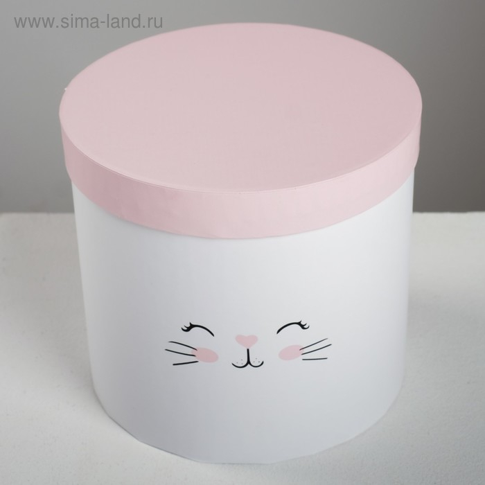 Набор коробок 3 в 1, упаковка подарочная, «Котики», 14 х 14 х 13 - 18 х 18 х 15 см