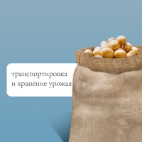 Мешок джутовый, 74 × 100 см, плотность 26 × 26 нитей, без завязок, Greengo