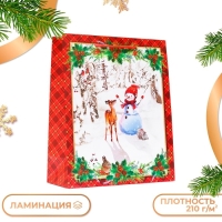 Новый год. Пакет подарочный "Снеговик", 26 х 32 х 12 см.