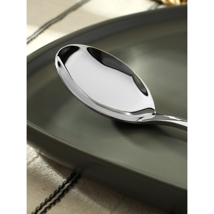 Ложка столовая из нержавеющей стали «Тайфун», длина 19 см, цвет серебряный Ложка столовая из нержавеющей стали «Тайфун», длина 19 см, цвет серебряный