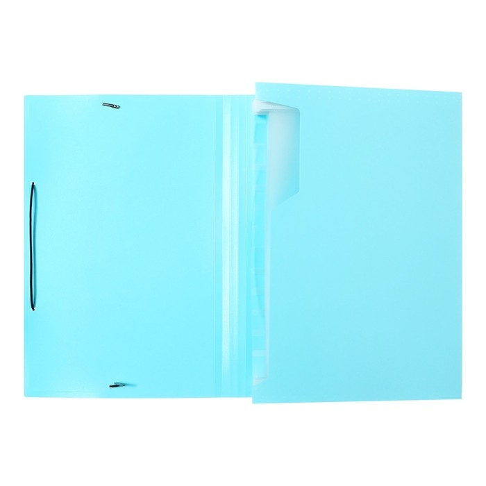 Папка картотека А4, Calligrata Папка картотека А4, Calligrata "Акварель", 13 отделений, пластиковая, 700 мкм, бирюзовая, резинка чёрная