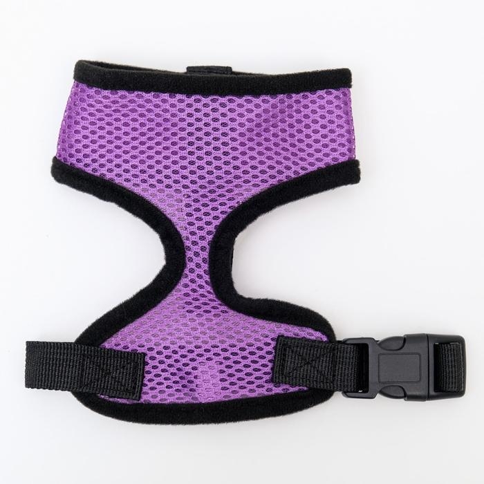 Шлейка мягкая из неопрена, размер S, ОШ 24 см, ОГ 24-34 см, фиолетовая Шлейка мягкая из неопрена, размер S, ОШ 24 см, ОГ 24-34 см, фиолетовая