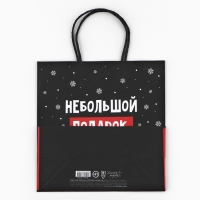 Пакет подарочный новогодний «Небольшой подарок», 22 х 22 х 11 см , Новый год