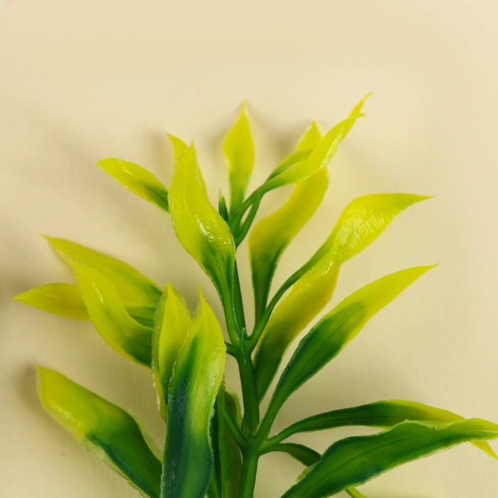 Веточка зелени, размер 1 шт. — 9 × 3 × 3 см, набор 3 шт. Веточка зелени, размер 1 шт. — 9 × 3 × 3 см, набор 3 шт.