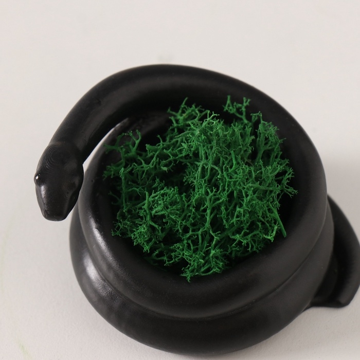 Сувенир мини  Сувенир мини "Змея" крученая со мхом  4*7*4 см черная (мох зелен стабил)