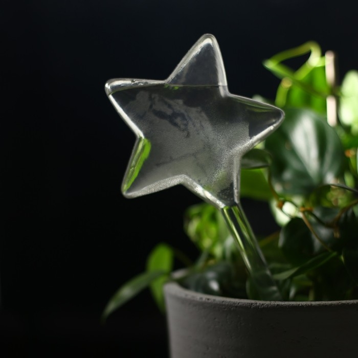 Автополив для комнатных растений, ПВХ, «Звезда», 100 мл, Greengo Автополив для комнатных растений, ПВХ, «Звезда», 100 мл, Greengo