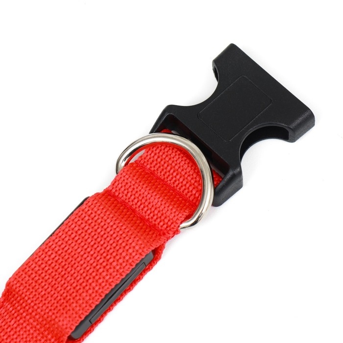 Ошейник с подсветкой Двойная полоса размер М, ОШ 40-48 х 2,5 см, 3 режима свечения красный Ошейник с подсветкой Двойная полоса размер М, ОШ 40-48 х 2,5 см, 3 режима свечения красный