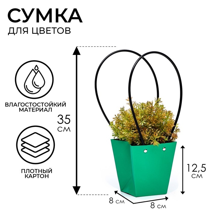 Сумка для цветов Зеленая влагостойкая, 12x12-8x8-12.5 см Сумка для цветов Зеленая влагостойкая, 12x12-8x8-12.5 см