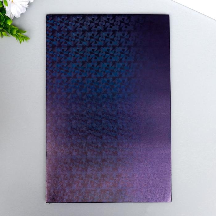 Фоамиран голограмма  Фоамиран голограмма "Чёрный" 1.8 мм набор 5 листов 20х30 см