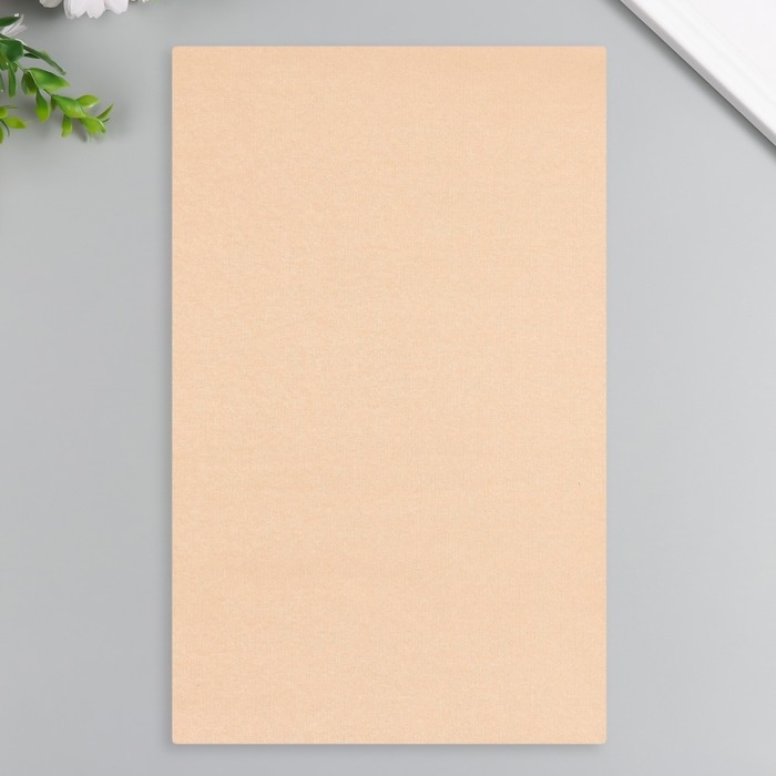 Лист для творчества иск.кожа Лист для творчества иск.кожа "Масло. Матовый" коричневый лист 33х20 см толщина 0,74 мм