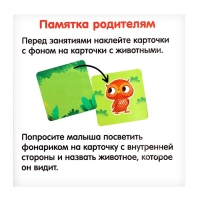 Развивающий набор «Волшебный фонарик», 3+