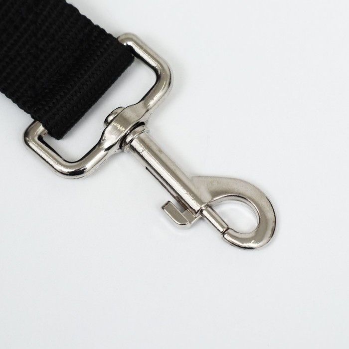 Поводок 1,2 м х 3 см, черный Поводок 1,2 м х 3 см, черный