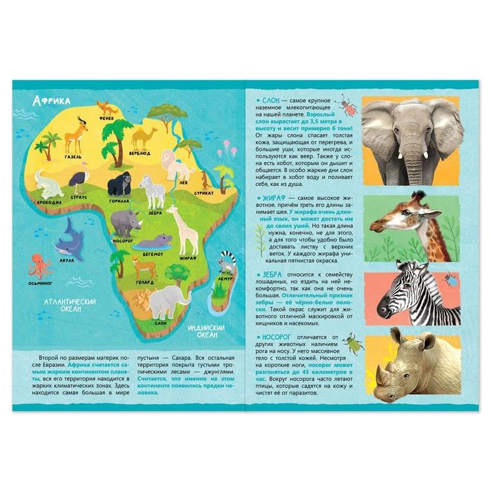Книжка с наклейками «Животные нашей планеты», 16 стр. Книжка с наклейками «Животные нашей планеты», 16 стр.