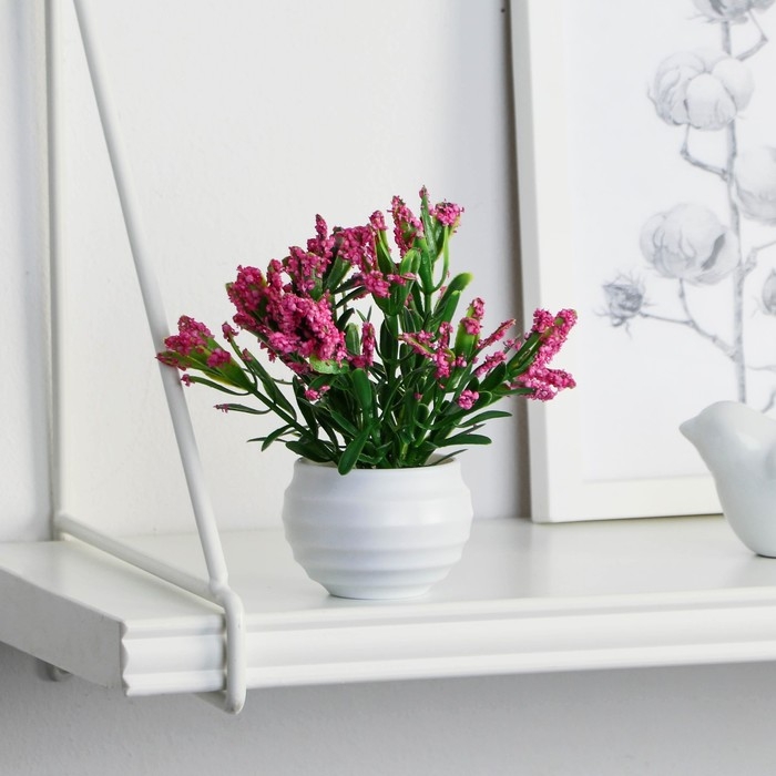 Бонсай в горшке Бонсай в горшке "Крассула" 5,5х11 см, микс