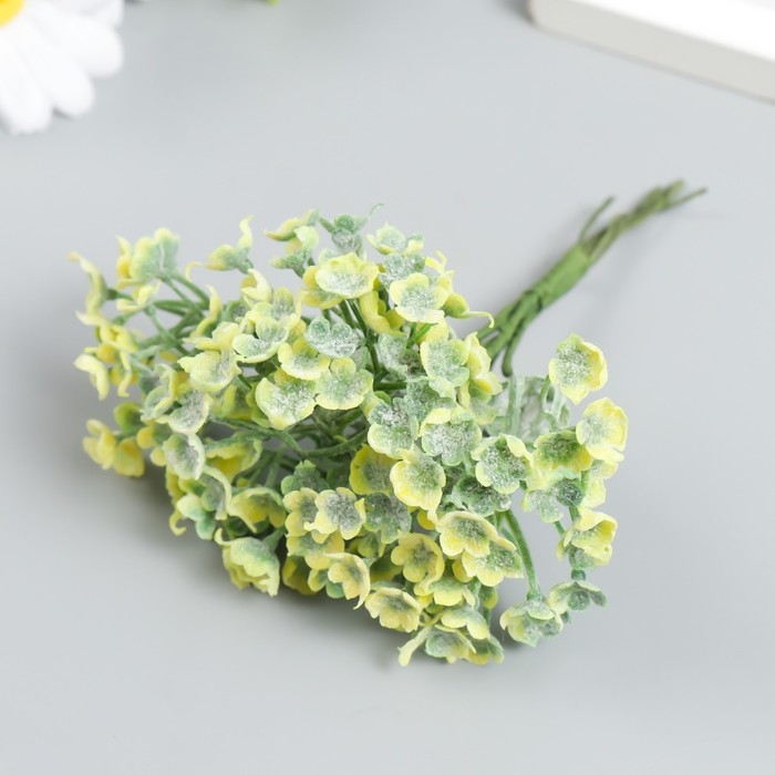 Декор для творчества Декор для творчества "Соцветие - Пилея стелющаяся" 1 букет= 6 веточек зелёный 10 см