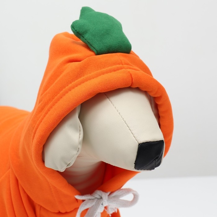 Толстовка "Любимая морковка", размер L (ДС 35, ОГ 50 см)