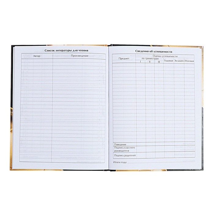 Дневник универсальный для 1-11 классов, "Золотой мяч", твердая обложка 7БЦ, глянцевая ламинация, 40 листов