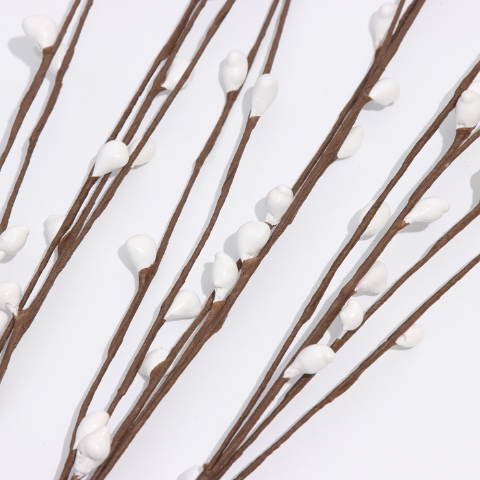 Пасхальный набор Пасхальный набор "Вербное Воскресенье" яйца