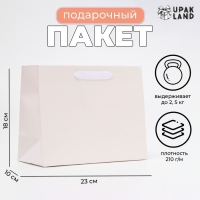 Пакет ламинированный «Белый», MS 23 × 18 × 10 см