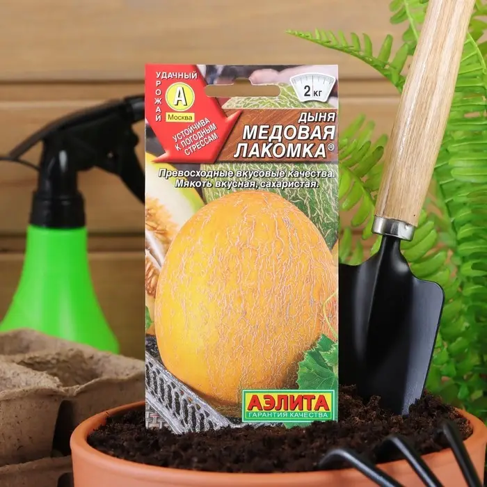 Семена Дыня  Семена Дыня "Медовая лакомка", 1 г