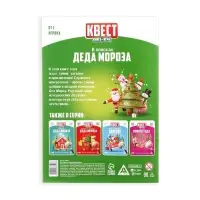 Квест-книга игра &laquo;В поисках Деда Мороза&raquo;, 22 страницы