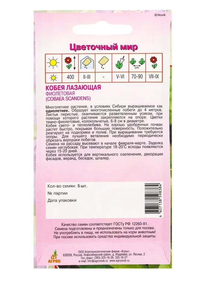 Семена Кобея "Фиолетовая" 5 шт