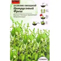 Семена Базилик &laquo;Цитрусовый фреш&raquo;, 0.25 г, &laquo;АгроСидсТрейд&raquo;