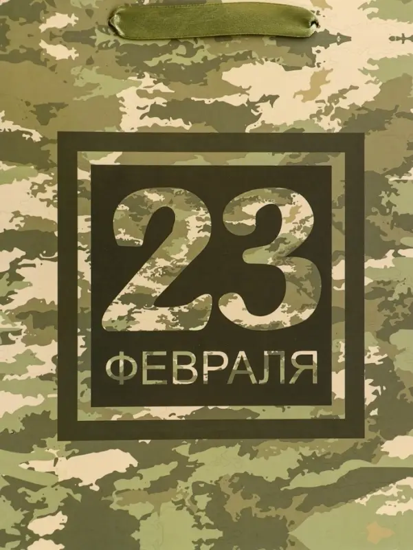 Пакет подарочный вертикальный &laquo;23 февраля&raquo;, ML 23&times;27&times;11.5 см