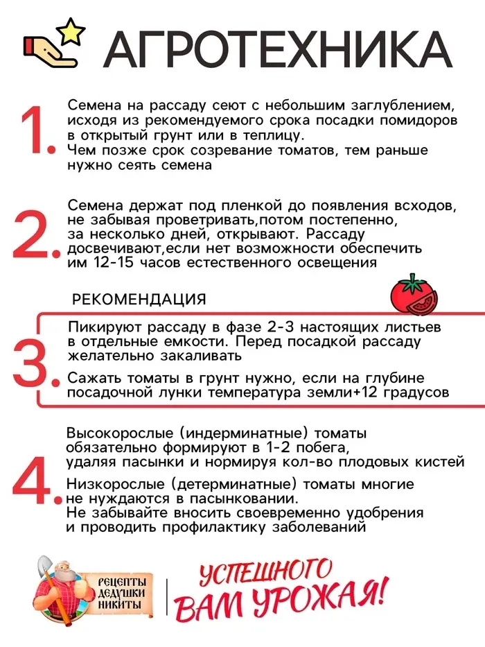 Семена Томат "Ляна", 0,1 г