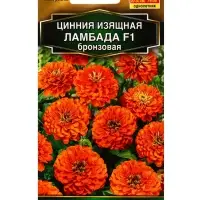 Семена цветов Цинния Ламбада F1 бронзовая Золотая серия, Ц/П,12 шт. Семена цветов Цинния Ламбада F1 бронзовая Золотая серия, Ц/П,12 шт.