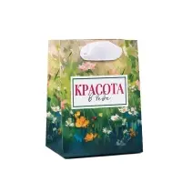 Пакет ламинированный «Цветы», 9 х 12 х 6.5 см