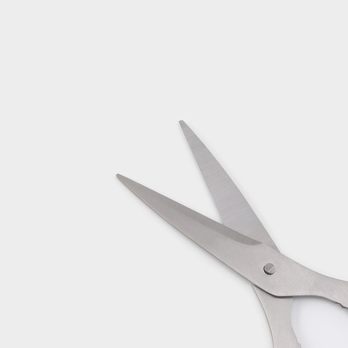 Ножницы кухонные Доляна Classic, 18 см Ножницы кухонные Доляна Classic, 18 см