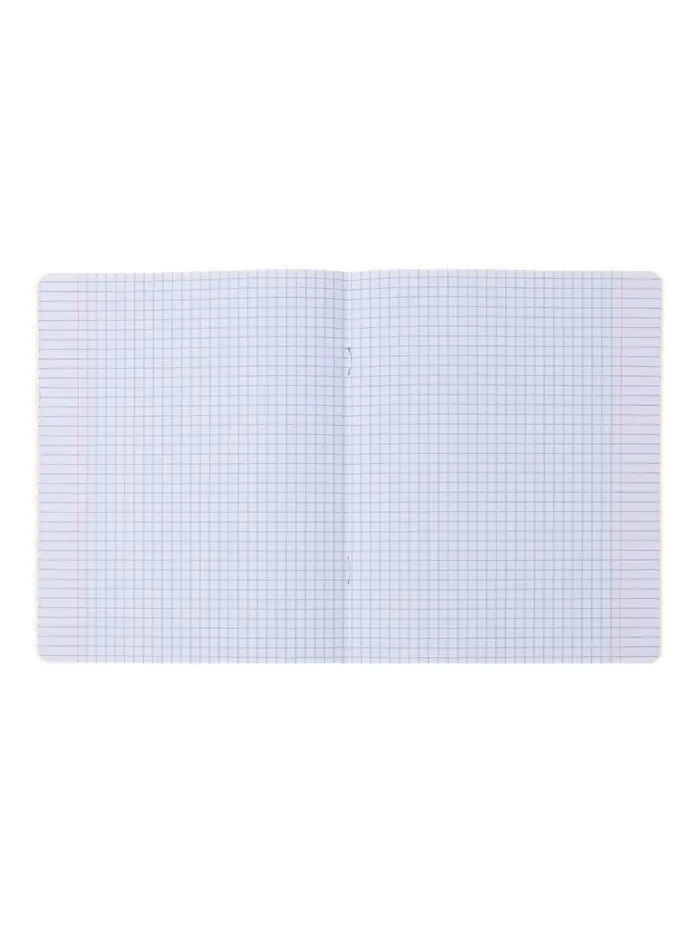 Комплект тетрадей из 10 штук, 24 листа в клетку Calligrata "Школьная", обложка мелованный картон, ВД-лак, блок офсет, 5 видов по 2 штуки