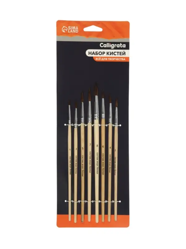 Набор кистей для рисования, белка, 8 штук: № 1, 2, 3, 4, 5, 6, 7, 8, круглые, деревянная ручка, международный размер