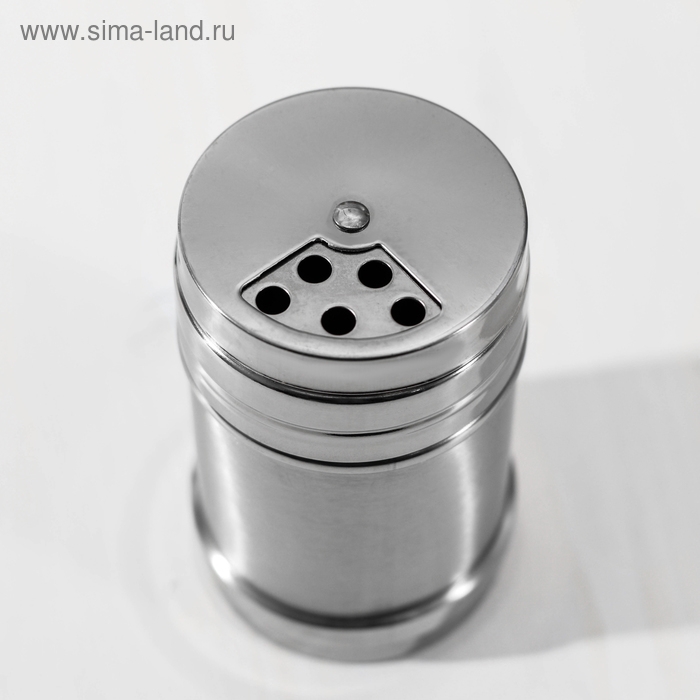 Солонка из нержавеющей стали «Металлик», 280 мл, 6,3×10,5 см, цвет серебряный Солонка из нержавеющей стали «Металлик», 280 мл, 6,3×10,5 см, цвет серебряный