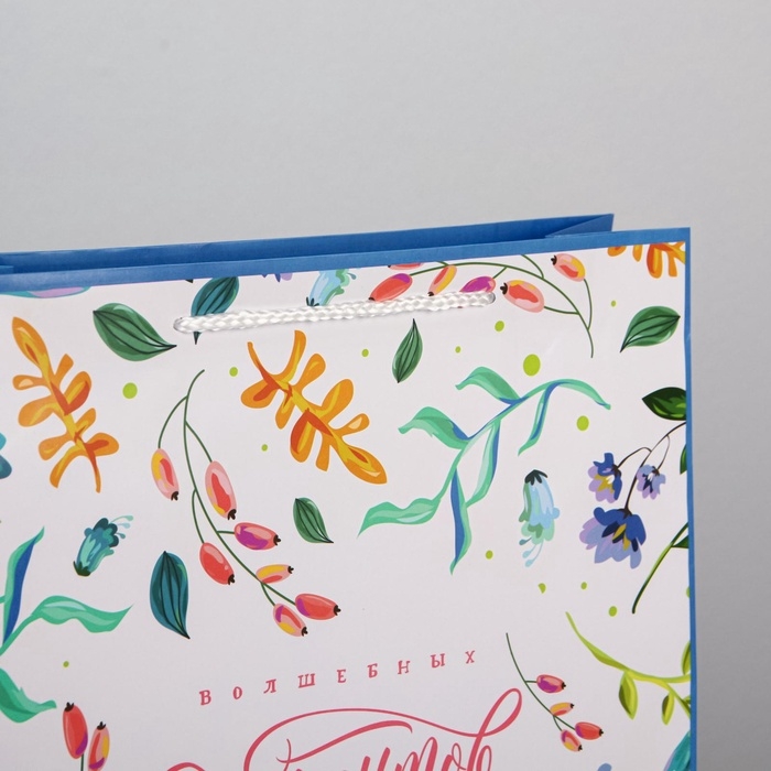 Пакет подарочный ламинированный, упаковка, Best wishes, L 28 х 38 х 9 см Пакет подарочный ламинированный, упаковка, Best wishes, L 28 х 38 х 9 см