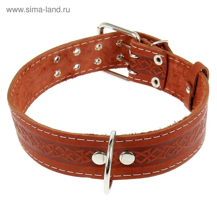Ошейник однослойный, 73&times;4.5 см, ОШ 51-65 см, кожа, МИКС