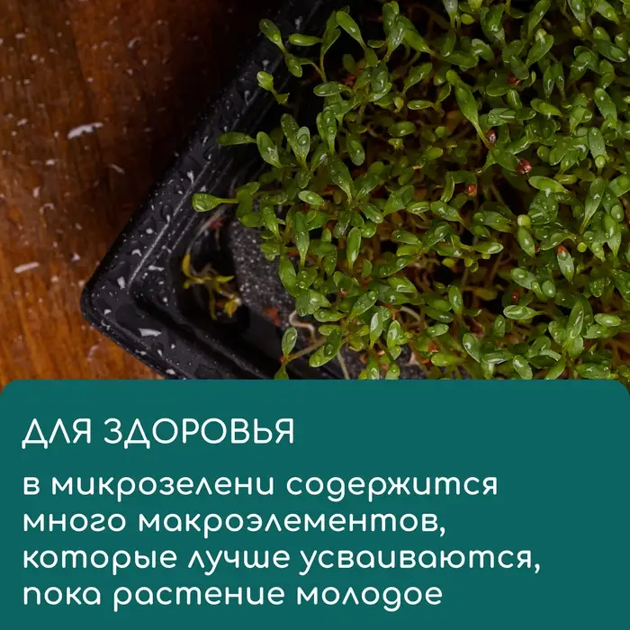 Коврик джутовый для выращивания микрозелени, 10&times;15 см, толщина 1 см, набор 5 шт.