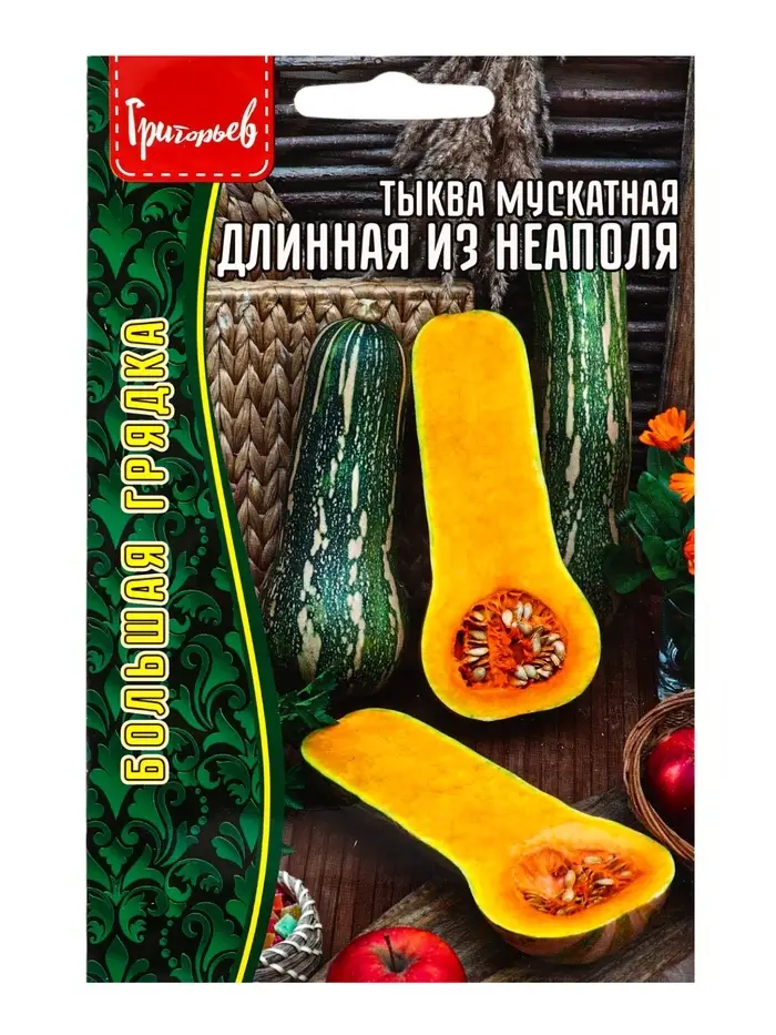 Семена Тыква Длинная из Неаполя мускатная  (Lunga Di Napoli)  4 шт. / НОВИНКА 12.29 г.
