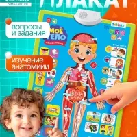 Обучающий плакат &laquo;Изучаем анатомию: Моё тело&raquo;
