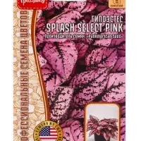 Семена цветов Гипоэстес Сплэш Select Pink (PanAmerican Seed) 4шт. 12.29 г.
