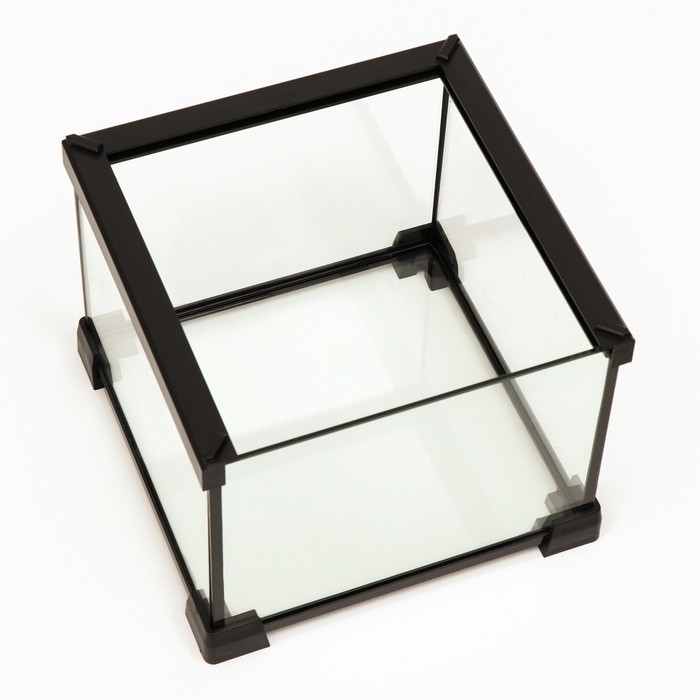 Террариум для рептилий 6,4 л, с креплением для предотвращения побега, 20 х 20 х 16 см Террариум для рептилий 6,4 л, с креплением для предотвращения побега, 20 х 20 х 16 см